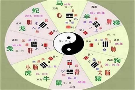 森五行|森字的五行是什么,森的五行属性及吉利寓意